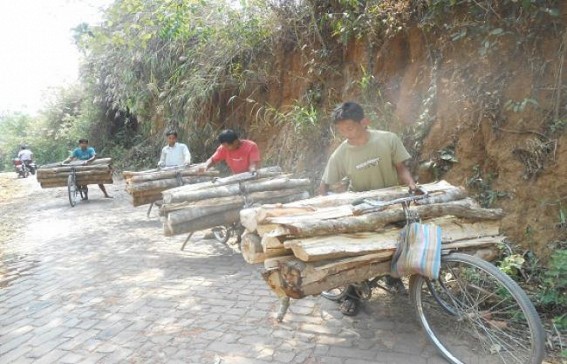 Govt'S forest is being robbed openly by the local people in Khowai Govt'S forest is being robbed openly by the local people in Khowai